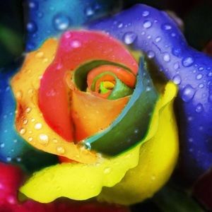 Meet your Posher, Princess boutic